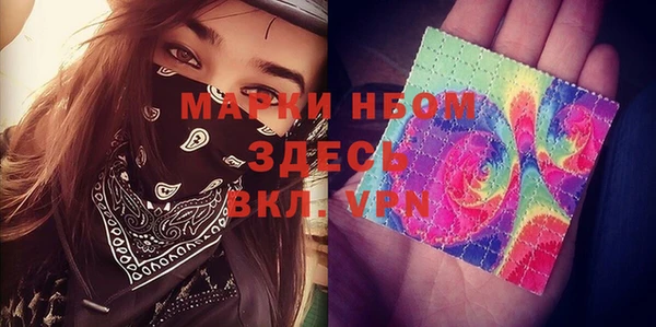 гашик Алексин