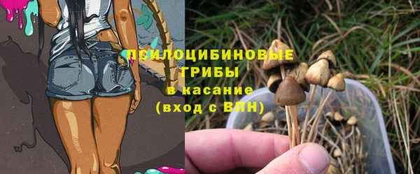 apvp Абаза